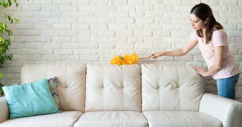 Efficient cleaning tips